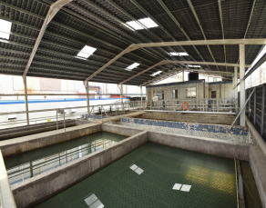 線路板廢水處理